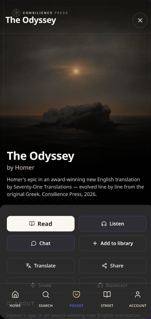 The Odyssey book flyout — Read, Listen, Chat, Translate
