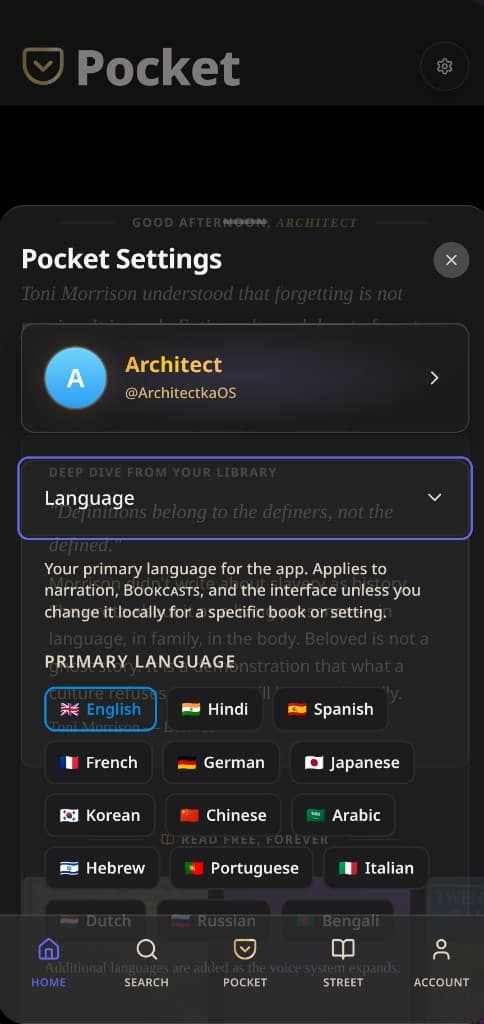 Pocket Settings — pick your primary language