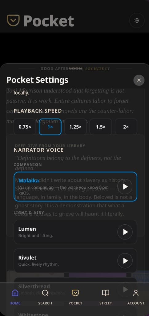 Pocket Settings — Malaika, Lumen, Rivulet narrator voices
