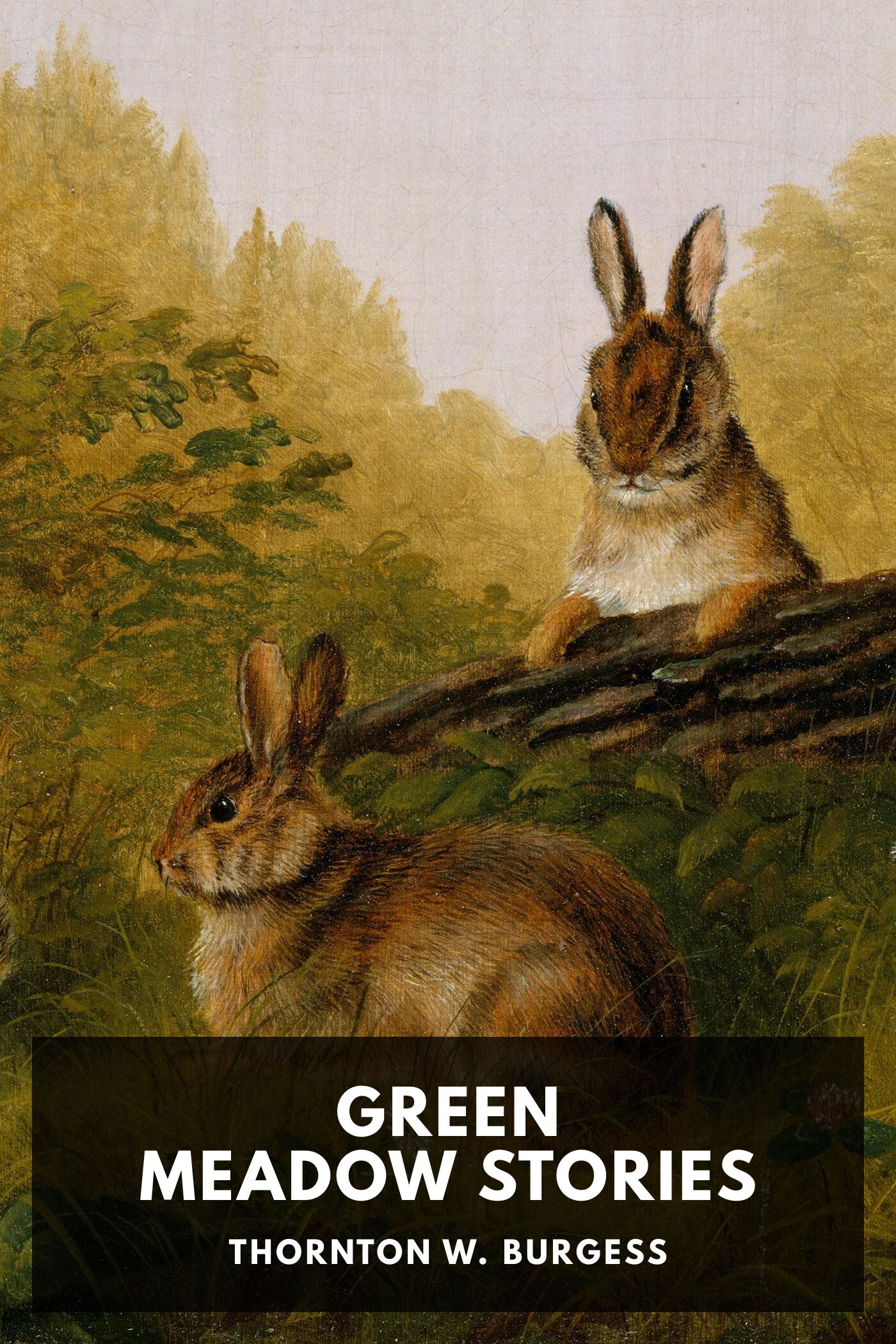 Green Meadow Stories